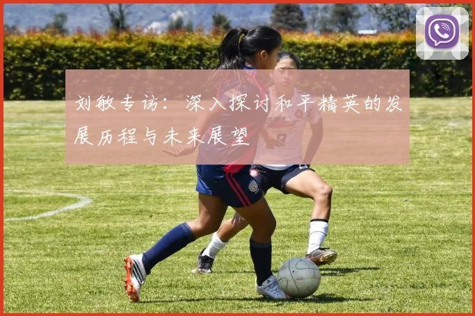 刘敏专访：深入探讨和平精英的发展历程与未来展望